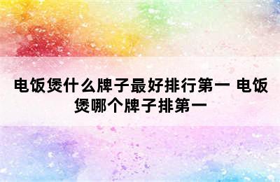 电饭煲什么牌子最好排行第一 电饭煲哪个牌子排第一